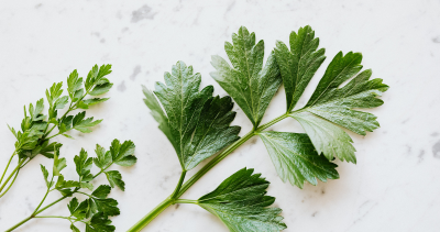 Fresh-Parsley How to Make Seafood Boil Sauce: A Flavorful Delight